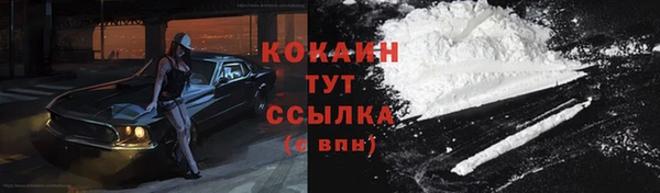 стаф Приозерск