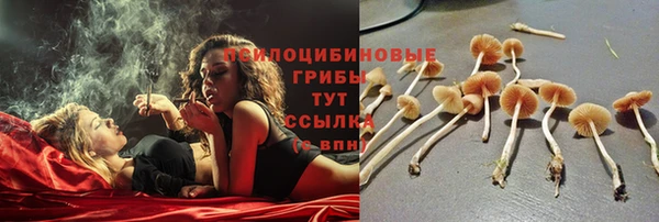 spice Алексин